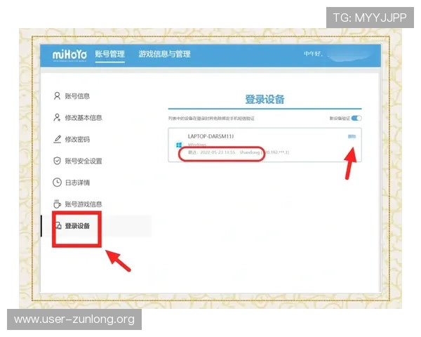 凯时登录入口安全指南，教你如何识别正规登录入口避免账号信息泄露